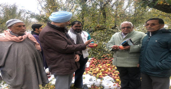एआईकेएससीसी के सात सदस्यीय प्रतिनिधिमंडल ने 13 से 15 नवंबर तक जम्मू-कश्मीर का दौरा कर सेब और केसर के साथ ही अन्य बागवानी फसलों का जायजा लिया