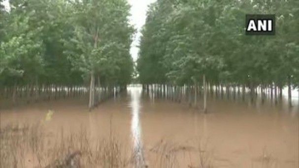 पंजाब के जालंधर में भारी वर्षा के बाद फिल्लौर के 7 गांवों में बाढ़ जैसी स्थिति बन गई है