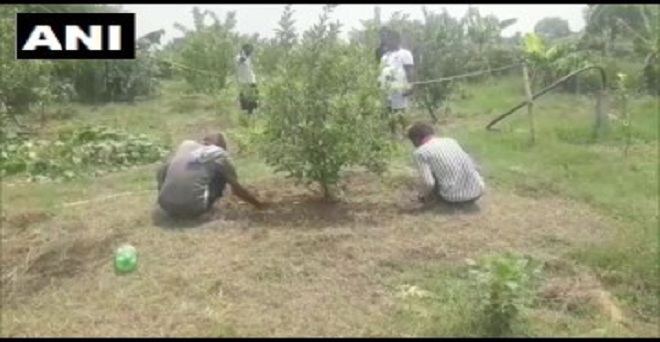उत्तर प्रदेश: प्रयागराज के रुद्र प्रताप सिंह ने ठंडी जगहों पर लगने वाले सेब को प्रयागराज में उगाकर सबको हैरान कर दिया है। उन्होंने ग्राफ्टिंग तकनीक से सेब के 17 पेड़ लगाए थे, जिनमें से 14 फल देने लगे हैं।