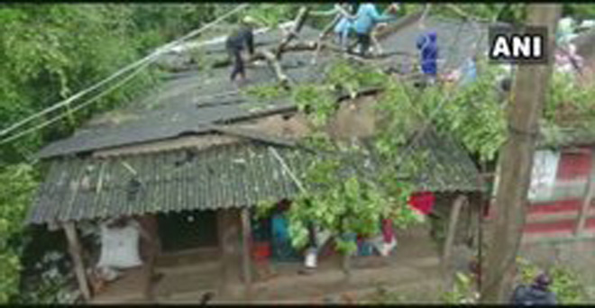 ओडिशा के भद्रक में चक्रवात बुलबुल के कारण बारिश और तेज हवाओं के कारण मकानों पर पेड़ गिर गए