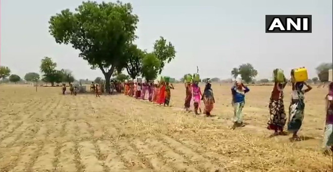 राजस्थान के धौलपुर में महिलाएं खेतों से पीने का पानी लाती हुई, भीषण गर्मी में देश के कई राज्यों में सूख जैसे हालात बने हुए हैं