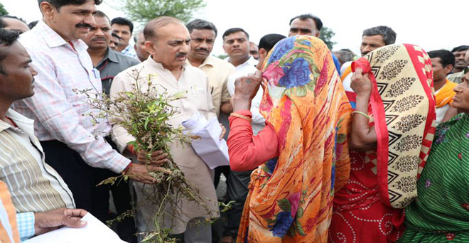 मध्यप्रदेश के वाणिज्य कर मंत्री बीएस राठौर ने निवाड़ी जिले में अतिवृष्टी से खराब हुई फसलों का जायजा लिया