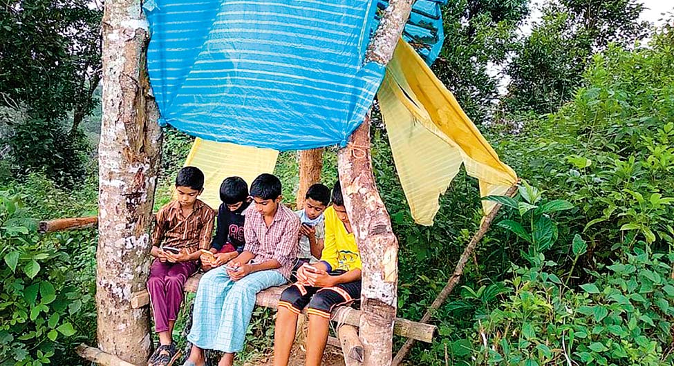 तमिलनाडु के एक गांव में मचान पर बैठकर ऑनलाइन क्लास करते छात्र