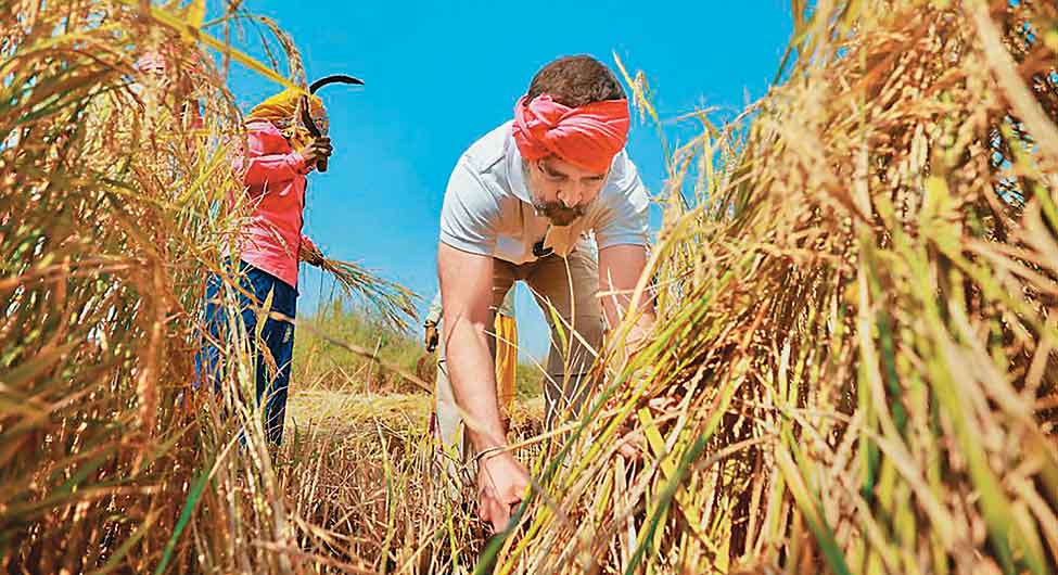 किसानों पर दांवः भाजपा-कांग्रेस दोनों की नजर